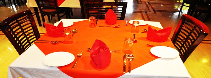 2258/Hotel Padmini - Chittorgarh 09.jpg